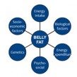 causes of belly fat