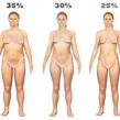 Different Body Fat Percentages in Women