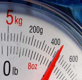 weight gain calculator