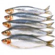 calories in fish