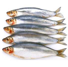 calories in fish
