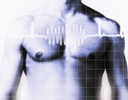 heart rate calculator