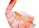 calories in seafood
