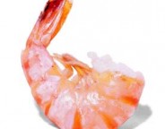 calories in seafood