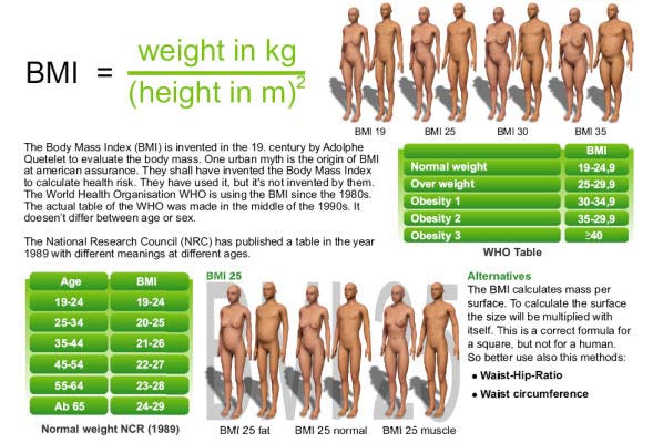 bmi calculator