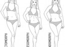 body-type-calculator-2 body type calculator