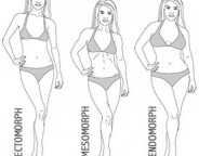 body type calculator