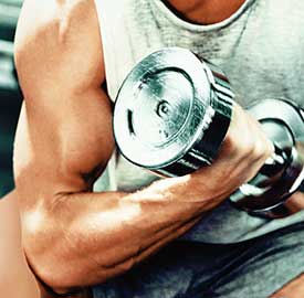 endomorph-workout