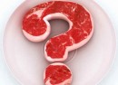 protein protein weight loss