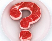 protein weight loss