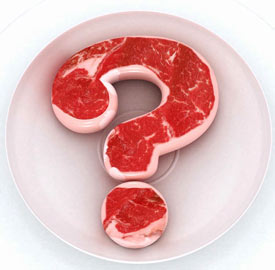 protein weight loss