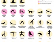 Yoga poses for beginners