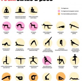 Yoga poses for beginners